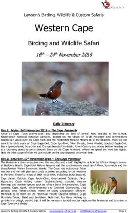 Western Cape Birding and Wildlife Safari