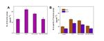 Mucic Acid Loaded Polyethylenimine@Gold Nanoparticles for the Treatment of Rheumatoid Arthritis