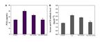 Mucic Acid Loaded Polyethylenimine@Gold Nanoparticles for the Treatment of Rheumatoid Arthritis