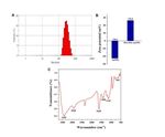 Mucic Acid Loaded Polyethylenimine@Gold Nanoparticles for the Treatment of Rheumatoid Arthritis