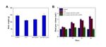 Mucic Acid Loaded Polyethylenimine@Gold Nanoparticles for the Treatment of Rheumatoid Arthritis