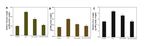 Mucic Acid Loaded Polyethylenimine@Gold Nanoparticles for the Treatment of Rheumatoid Arthritis