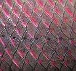 Ecuador generates a proposal to strengthen the orchid value chain in the Amazon region (Napo, Morona Santiago and Zamora Chinchipe) - BIOAMAZON ...