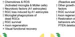 Neuroinflammation, Microglia and Implications for Retinal Ganglion Cell Survival and Axon Regeneration in Traumatic Optic Neuropathy - Frontiers