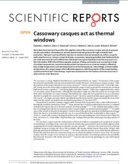 Cassowary casques act as thermal windows - Brock University Digital ...