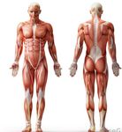 Year 12 Transition Booklet Level 3 BTEC Sport - Brooksbank 6th Form