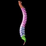 Year 12 Transition Booklet Level 3 BTEC Sport - Brooksbank 6th Form