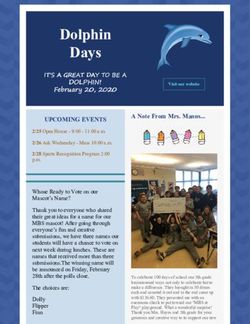 Dolphin Days - Most Blessed Sacrament Catholic School