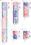 Detection of subtype-specific breast cancer surface protein biomarkers via a novel transcriptomics approach