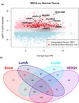 Detection of subtype-specific breast cancer surface protein biomarkers via a novel transcriptomics approach