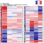 Detection of subtype-specific breast cancer surface protein biomarkers via a novel transcriptomics approach