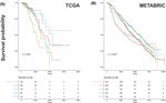 Detection of subtype-specific breast cancer surface protein biomarkers via a novel transcriptomics approach
