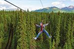 2021 Tour Offerings Zipline Tour Sell Sheet attached Zipline Tour Descriptions & Policies Sheet attached Shuttle Schedule attached Link to tour ...