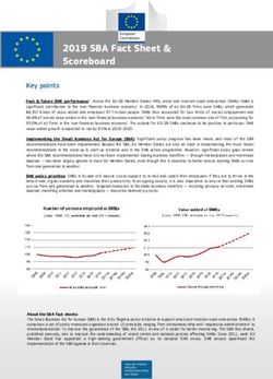 2019 SBA Fact Sheet & Scoreboard - European Union - European Commission