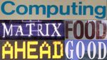 What If We Only Use Real Datasets for Scene Text Recognition? Toward Scene Text Recognition With Fewer Labels