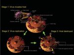 Anti-SARS Drug Discovery and Development