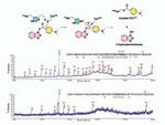 Anti-SARS Drug Discovery and Development