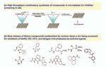 Anti-SARS Drug Discovery and Development