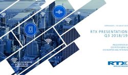 Q3 2018/19 PRESENTATION BY CEO PETER RØPKE & CFO MORTEN AXEL PETERSEN WIRELESS WISDOM WORKS IN ANY ENVIRONMENT
