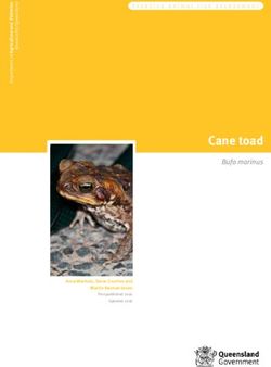 Cane toad Bufo marinus - Invasive animal risk assessment - Queensland Department of ...