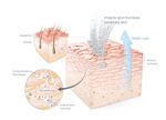 Smarter skin care just got - Amazon AWS
