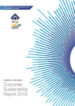Corporate Sustainability Report 2019 - PROMISE + PROGRESS - SAIL