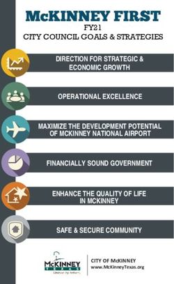DIRECTION FOR STRATEGIC & ECONOMIC GROWTH OPERATIONAL EXCELLENCE MAXIMIZE THE DEVELOPMENT POTENTIAL OF MCKINNEY NATIONAL AIRPORT FINANCIALLY SOUND ...