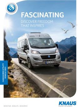 FASCINATING DISCOVER FREEDOM THAT INSPIRES - BOXSTAR . BOXLIFE . BOXDRIVE - Knaus