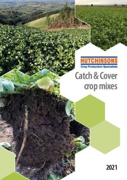 Catch & Cover crop mixes - Hutchinsons