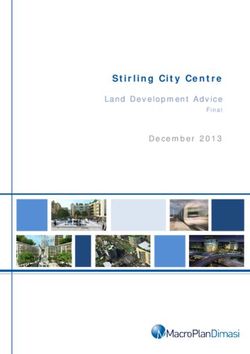Stirling City Centre Land Development Advice - Final