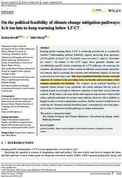 On the political feasibility of climate change mitigation pathways: Is it too late to keep warming below 1.5 C?