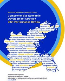 economic development strategy 2021
