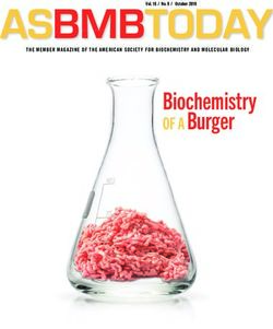 Biochemistry OF A Burger - THE MEMBER MAGAZINE OF THE AMERICAN SOCIETY FOR BIOCHEMISTRY AND MOLECULAR BIOLOGY - asbmb