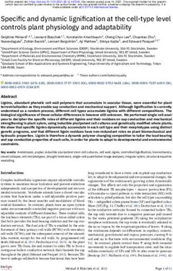 Specific and dynamic lignification at the cell-type level controls plant physiology and adaptability - ResearchGate