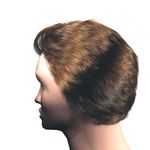 Hairstyle Construction from Raw Surface Data