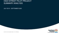 HIGH STREET PILOT PROJECT SUMMARY ANALYSIS - JULY 2019 - SEPTEMBER 2020