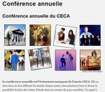 Activities related to the ICOM-CECA website