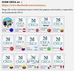 Activities related to the ICOM-CECA website