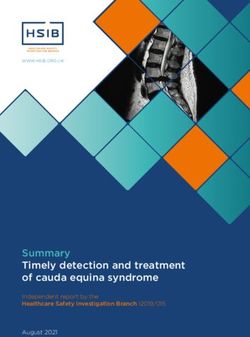 Summary Timely detection and treatment of cauda equina syndrome - Independent report by the Healthcare Safety Investigation Branch I2019/015 ...