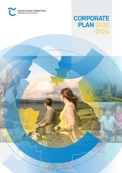 CORPORATE PLAN 2020 -2024 - Tipperary County Council