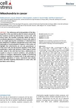 Mitochondria in cancer - Cell Stress
