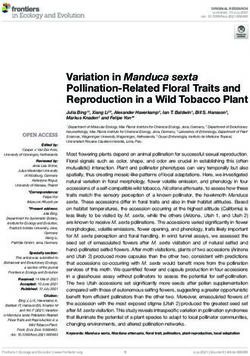 Variation in Manduca sexta Pollination-Related Floral Traits and Reproduction in a Wild Tobacco Plant - Frontiers