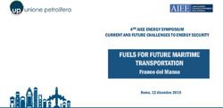 FUELS FOR FUTURE MARITIME TRANSPORTATION - Franco del Manso CURRENT AND FUTURE CHALLENGES TO ENERGY SECURITY - Unione Petrolifera