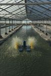 Accelerating geothermal heat adoption in the agri-food sector - Key lessons and recommendations - IRENA