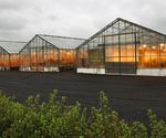 Accelerating geothermal heat adoption in the agri-food sector - Key lessons and recommendations - IRENA
