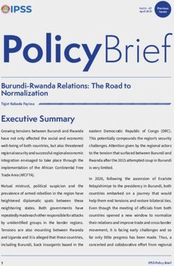 PolicyBrief Burundi-Rwanda Relations: The Road to Normalization - Africa Portal