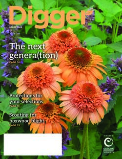 The next genera(tion) - Protections for your selections Scouting for boxwood blight - Digger magazine