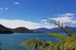WALK NZ Cruise and walk in Pelorus Sound and Golden Bay