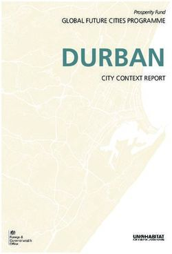 DURBAN GLOBAL FUTURE CITIES PROGRAMME - Prosperity Fund - GLOBAL FUTURE CITIES PROGRAMME CITY ...