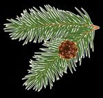 The virtual clubhouse calendar - City of Lake Forest